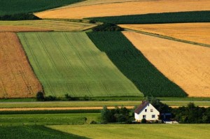 Crop Rotation