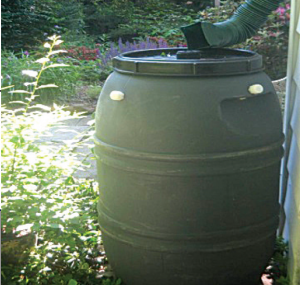 rain barrel