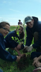 planting trees